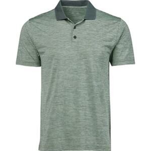 BCG Men's Golf Collared Short Sleeve Moisture Wicking Polo Shirt Green Stripe LG